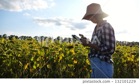 Female agronomist using digital tablet at sunflower meadow at sunny day. Adult farmer monitoring harvest at yellow flower field at sunset. Beautiful scenic landscape. Concept of agricultural business Female agronomist using digital tablet at sunflower meadow at sunny day. Adult farmer monitoring harvest at yellow flower field at sunset. Beautiful scenic landscape. Concept of agricultural business 132101229