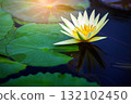 beautiful lotus flower in the pond 132102450