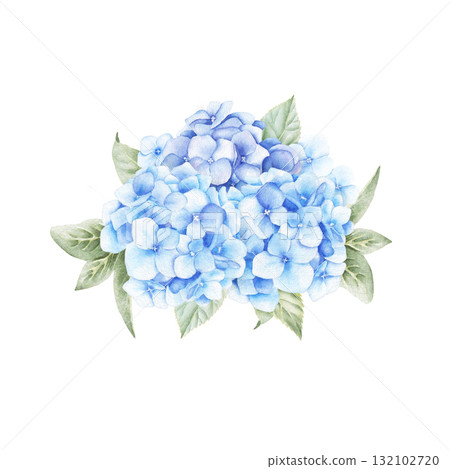 Watercolor arrangement of blue and purple hydrangea flowers and leaves. Hand drawn illustration isolated on white background for print and design 132102720