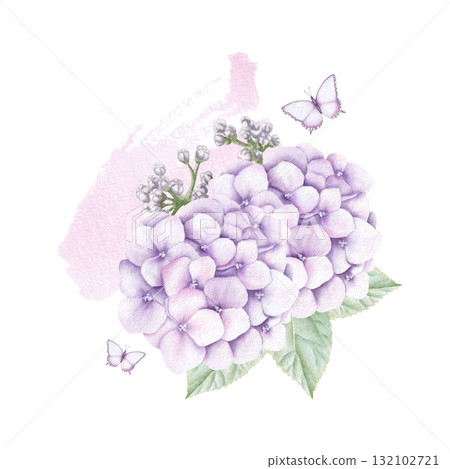 Watercolor composition of pink hydrangea flowers, leaves, buds and butterflies with paint stroke. Hand drawn illustration isolated on white background for print and design 132102721