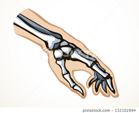 Vector drawing. Bones of the hand Vector drawing. Bones of the hand 132102894
