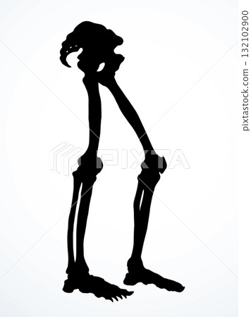 Vector drawing. Bones of the leg Vector drawing. Bones of the leg 132102900