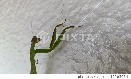 鎌倉爬牆 132103084