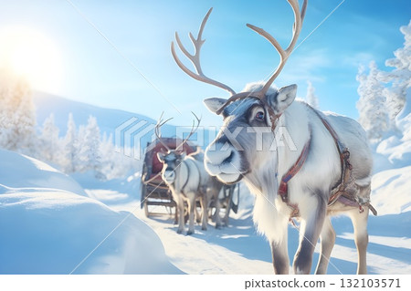 Wild reindeer with large antlers standing on snowy winter field, herd of majestic reindeer in cold Arctic landscape, traditional Christmas reindeer sleigh scene, wildlife nature background photo 132103571