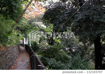 Asukayama in autumn (Kita Ward, Tokyo) 132103707