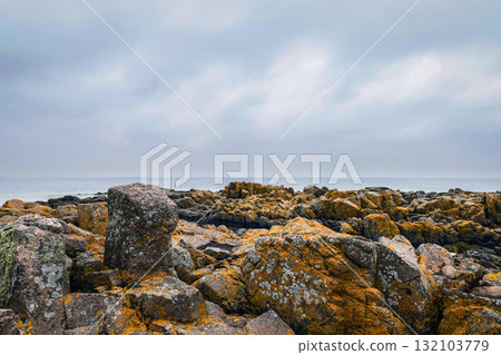 Rocky seashore. Stones covered with yellow and green moss and cloudy sky. Rocky seashore. Stones covered with yellow and green moss and cloudy sky. 132103779
