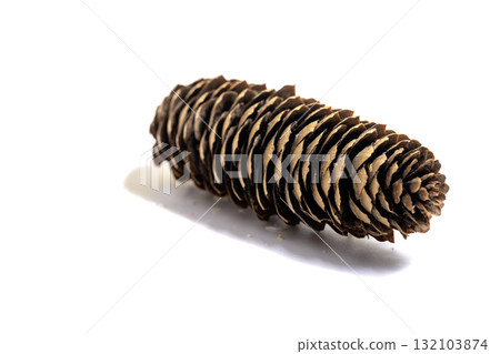 lump of tree isolated on white background lump of tree isolated on white background 132103874