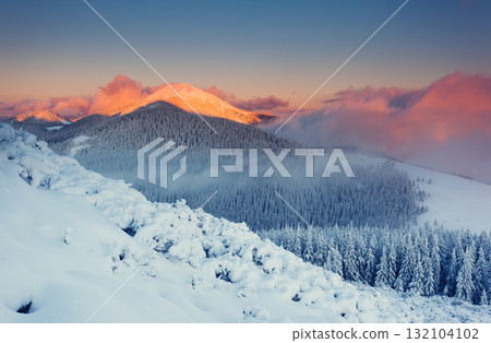 winter winter 132104102