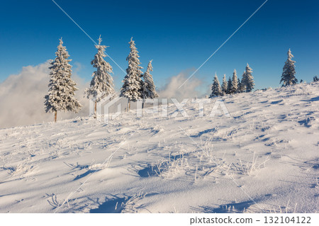 winter winter 132104122
