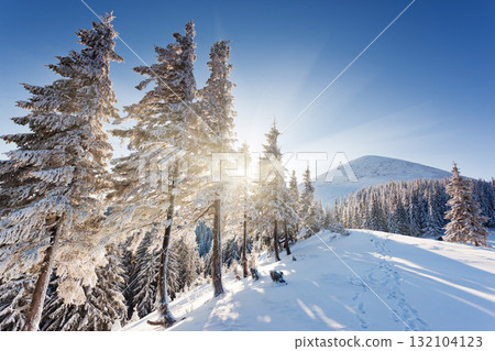 winter 132104123