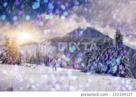 winter winter 132104127
