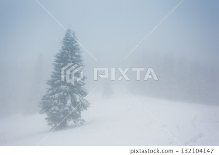 winter winter 132104147