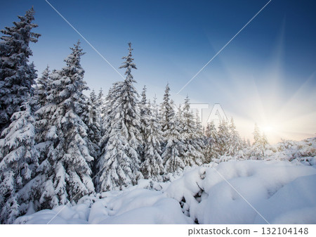 winter winter 132104148