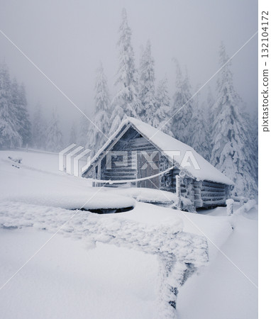 winter winter 132104172