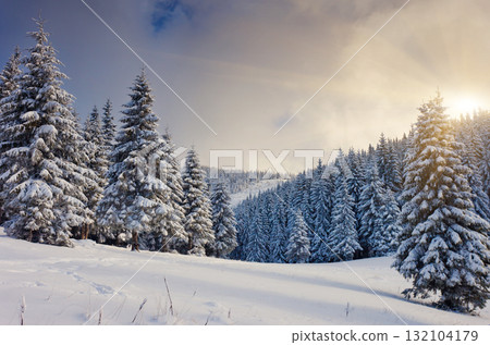 winter winter 132104179