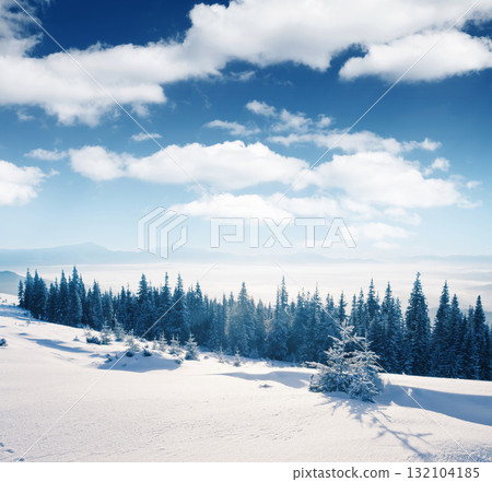 winter winter 132104185