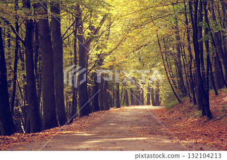 way way 132104213