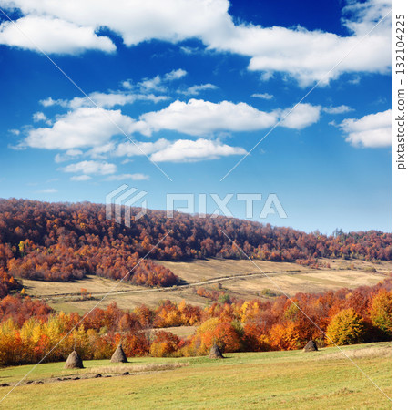autumn autumn 132104225