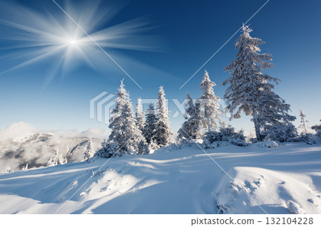 winter winter 132104228