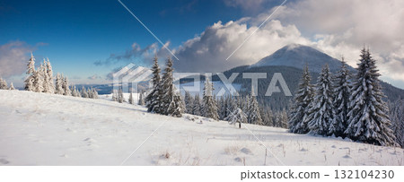 winter winter 132104230