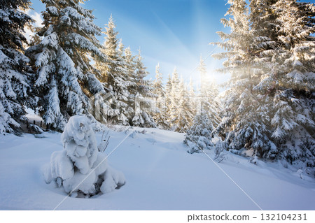 winter winter 132104231