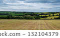 Birds dot a vast expanse of golden stubble, with distant hills and a cloudy sky forming the backdrop. 132104379