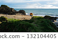 Coastal view of Sheep Cove, Ireland, with rocks, sandy beach, safety equipment and green grass. 132104405