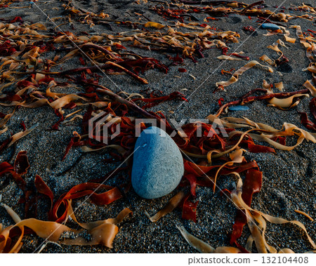 A single smooth, blue stone sits on a dark sandy beach. Brown and red seaweed is scattered around the stone and across the sand. The beach is located in Sheep Cove, Ireland. A single smooth, blue stone sits on a dark sandy beach. Brown and red seaweed is scattered around the stone and across the sand. The beach is located in Sheep Cove, Ireland. 132104408