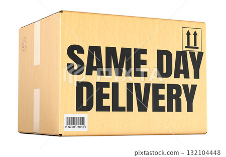 Same Day Delivery concept with parcel cardboard package. 3D rendering 132104448