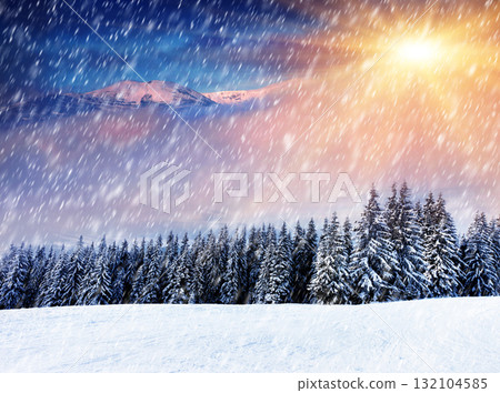 Winter Winter 132104585