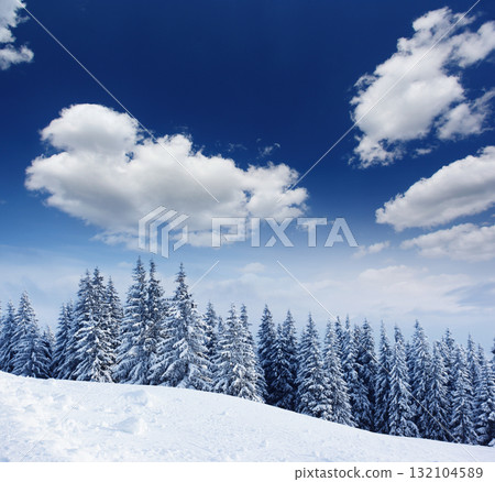 Winter Winter 132104589