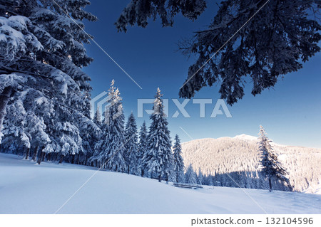 Winter 132104596