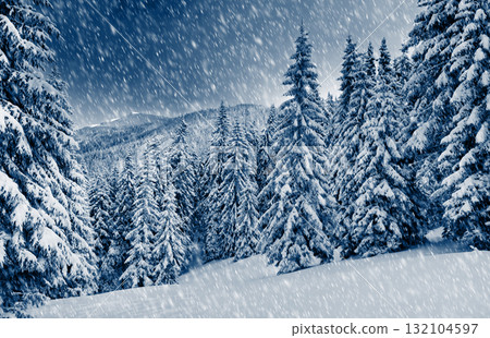 Winter Winter 132104597