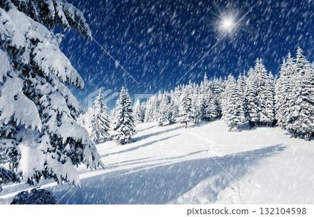 Winter Winter 132104598