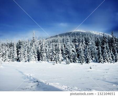 Winter 132104651