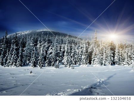 Winter Winter 132104658