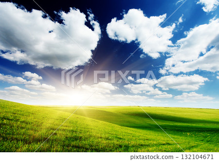 field field 132104671