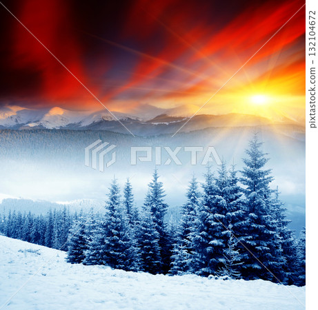 Winter Winter 132104672