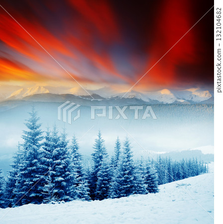Winter Winter 132104682