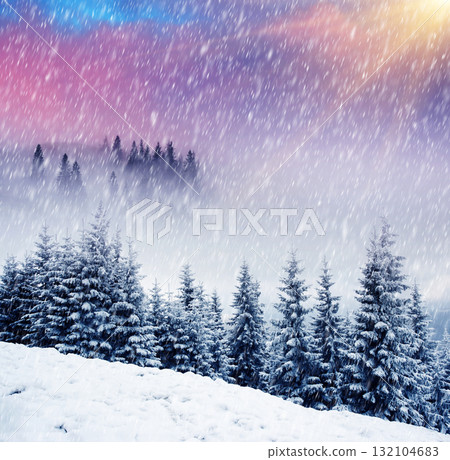 Winter Winter 132104683