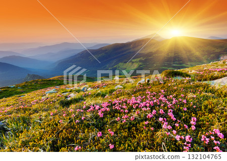 mountain landscape 132104765