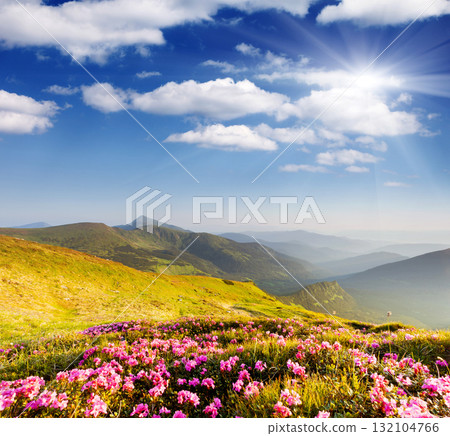 mountain landscape 132104766