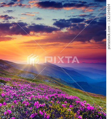 mountain landscape mountain landscape 132104804