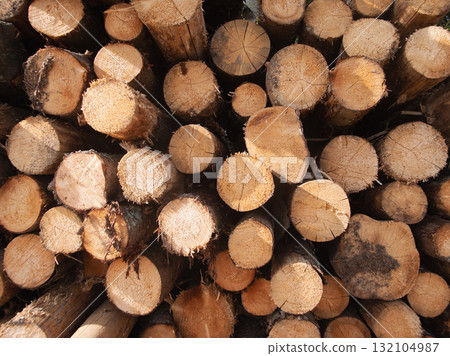 raw sawn timber for carpentry showing clean cuts and stacked lengths, workshop and material supply implications, perfect for joinery, construction and small business craft imagery raw sawn timber for carpentry showing clean cuts and stacked lengths, workshop and material supply implications, perfect for joinery, construction and small business craft imagery 132104987