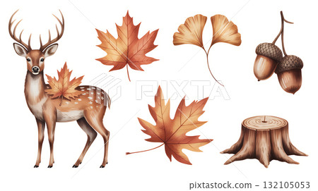 鹿、秋葉和森林物品 132105053