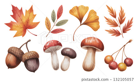 秋季森林元素集：蘑菇、橡實、落葉 132105057