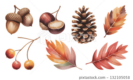 Autumn Nature Collection | Acorns, Chestnuts, and Pine Cones 132105058