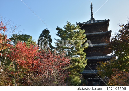 秋季的仁與寺:五重塔與楓樹(京都市右京區) 秋季的仁與寺:五重塔與楓樹(京都市右京區) 132105206