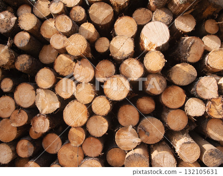 concentric rings of sawn logs closeup revealing growth pattern and age markers, textured endgrain with warm tones, ideal for scientific, woodworking and historical growth narratives concentric rings of sawn logs closeup revealing growth pattern and age markers, textured endgrain with warm tones, ideal for scientific, woodworking and historical growth narratives 132105631