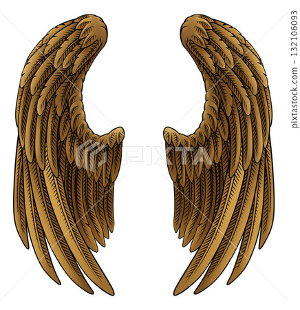 Angel Eagle Pegasus Feather Wings Illustration 132106093